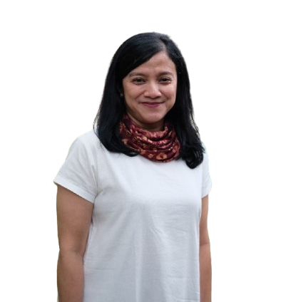 Novi Laurina